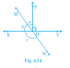 Page 97 Chapter 6 Class 9th Non-Rationalised NCERT 2019-20